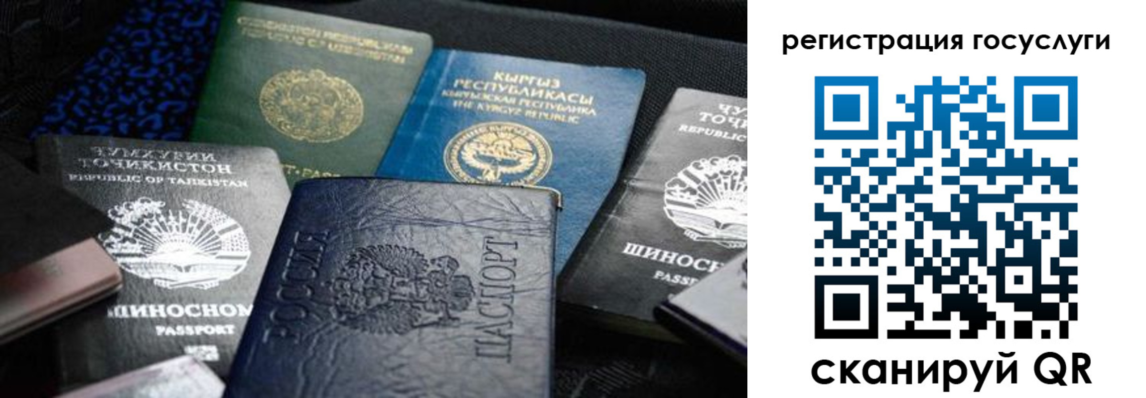 прописка ребенка в Петровске